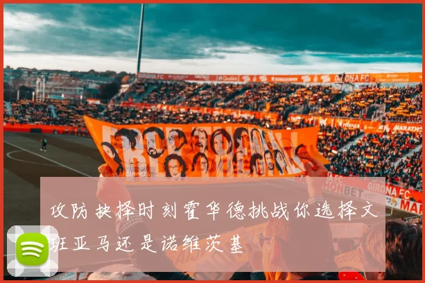 攻防抉择时刻霍华德挑战你选择文班亚马还是诺维茨基